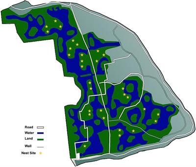 Incubation determines favorable microbial communities in Chinese alligator nests